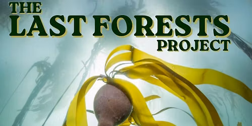 The Last Forests Project - Special Screening