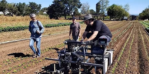 The Vine Connect: Lindcove