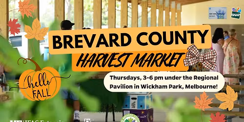 Harvest Farmers Market! Happy Fall!