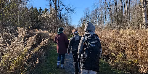 Nest Box Check and Nature Walk