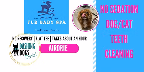 No Sedation Pet Teeth Cleaning Event- Fur Baby Spa Airdrie
