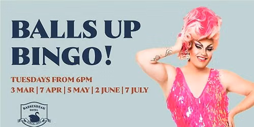 Balls Up Bingo