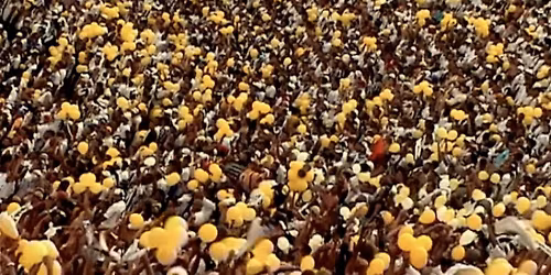 Stephen Dean VOLTA Screening & Conversation