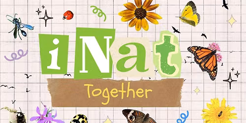 iNat Together at Freshkills Park
