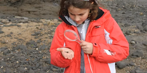 Naze seashore science and discovery - Wilder Families Club