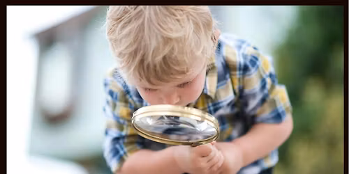 Music Scene Investigator