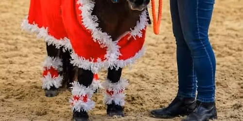 Christmas Fun Show OPEN TO ALL!