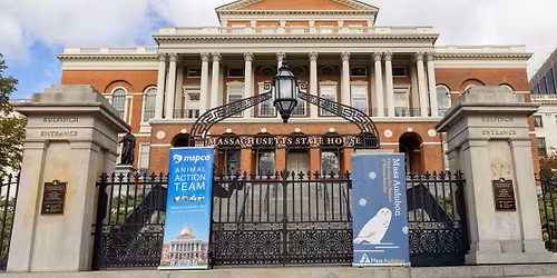 HEARING TO PROTECT ANIMALS FROM RODENTICIDES