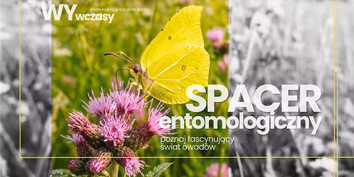 WYwczasy: spacer entomologiczny - poznaj fascynuj\u0105cy \u015bwiat owad\u00f3w