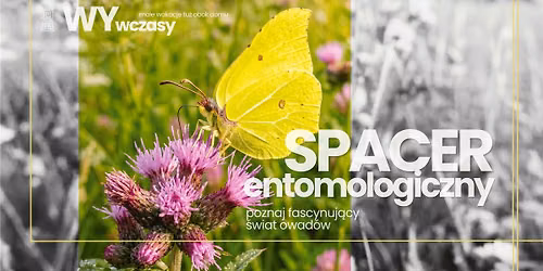 WYwczasy: spacer entomologiczny - poznaj fascynuj\u0105cy \u015bwiat owad\u00f3w