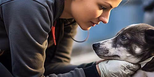 SNIPSA Animal Rescue Comedy Fundraiser