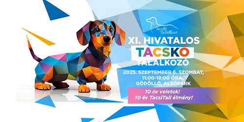 XI. Hivatalos Tacsk\u00f3 Tal\u00e1lkoz\u00f3 * 10 \u00e9v veletek * 10\u00e9v TacsiTali \u00e9lm\u00e9ny