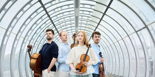 Fibonacci Quartet, string \ud83c\udfbb quartet