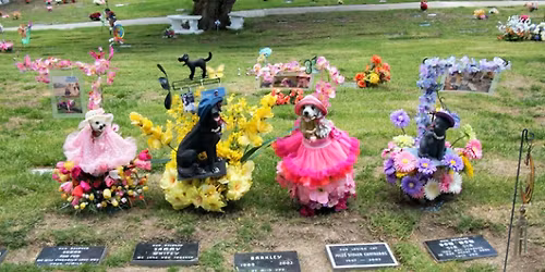 Parking Wild Kratts Live! - Charleston