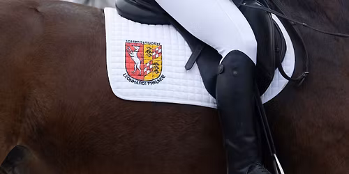 63. Leonhardiritt in Ichenhausen