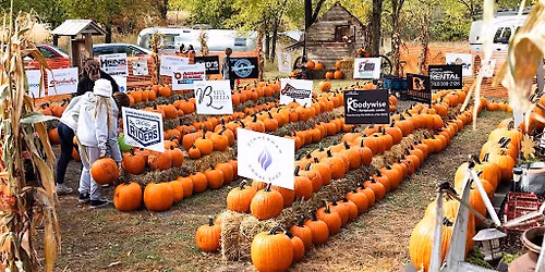 6th Annual Great Pumpkin Giveaway