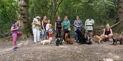 Community group dog walk - Hasting