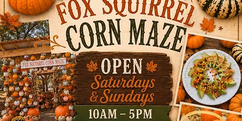 Fox Squirrel Corn Maze