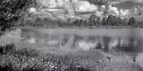 FIELD TRIP: Lake Indrio Preserve