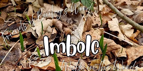 Imbolc Walk in the Woods