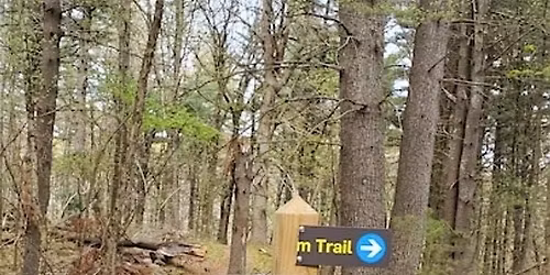 Ward Reservation boardwalk project! Part 1, Friday 11\/14\/25