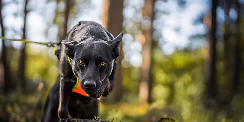 Tropienie z Biank\u0105 \u017bo\u0142\u0119dziewsk\u0105 i Agnieszk\u0105 Mareck\u0105 \ud83d\udd25