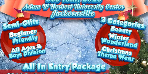 Miss Christmas Wonderland