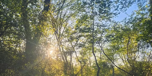 QOYA Class for Women