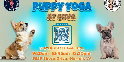 Puppy Yoga at Cova Brewing Company