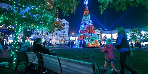 Lights Up 2025