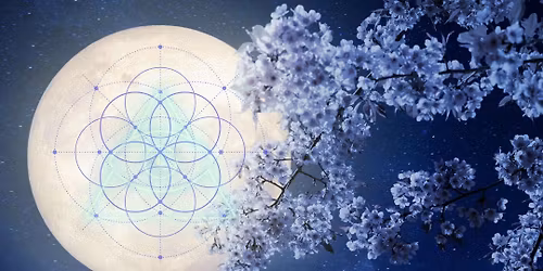 Full Moon Readers Club: Cold Moon