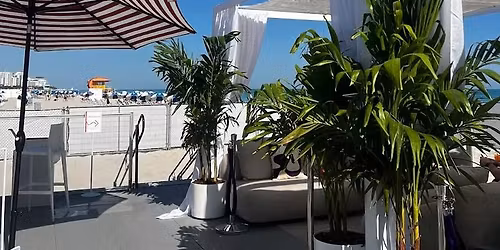 Miami Beach Private Art Market Tour Hosted by Greenwich Art Society and DVV