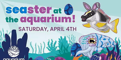 SEAster at the Aquarium