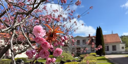 Billstr\u00f6mska folkh\u00f6gskolan 150 \u00e5r!