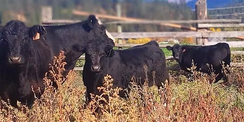 Livestock Management Workshop - Creston
