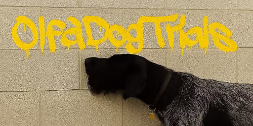 Scentwork UK Level 5