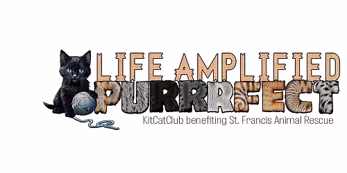 Life Amplified PURRRFECT