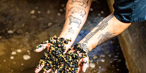 St. Paul Square Dinner Club with Chef Paul Morales