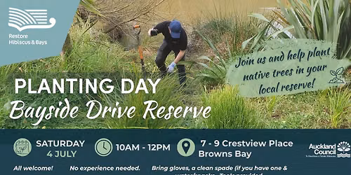 Bayside Drive Reserve, Browns Bay - Community Planting Day