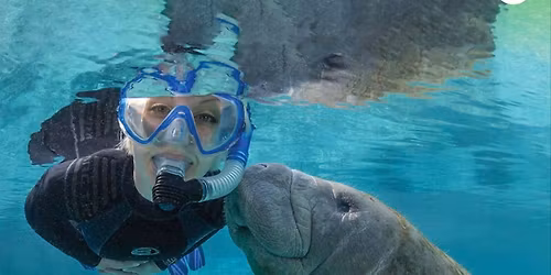 CRYSTAL RIVER MANATEE TRIP