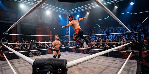 Micro Wrestling Federation