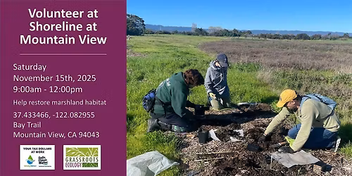 Volunteer Outdoors in Mountain View: Shoreline Marsh Habitat Restoration
