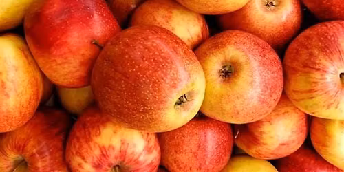 Midlands Food Preservation Workshops