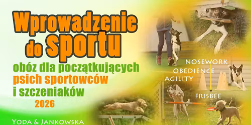 Wprowadzenie do sportu 2026 - ob\u00f3z dla pocz\u0105tkuj\u0105cych psich sportowc\u00f3w i szczeniak\u00f3w