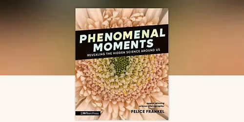 Felice Frankel's 'Phenomenal Moments'