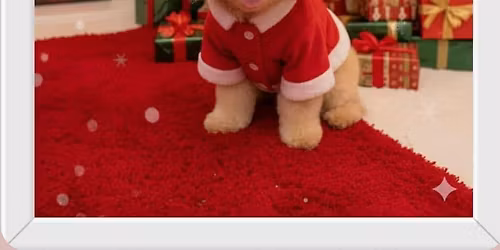 Pictures with Santa \ud83c\udf85 