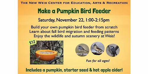 Pumpkin Bird Feeders!