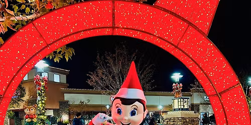 The Holiday Lights are ON!