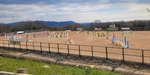 Show Jumping Show