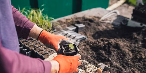 Native Seedling Sessions